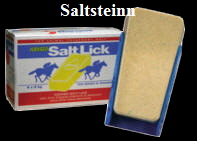 saltsteinn1
